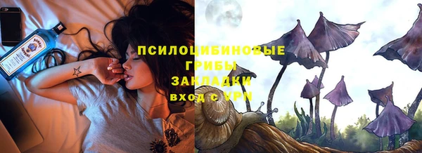 бошки Белокуриха