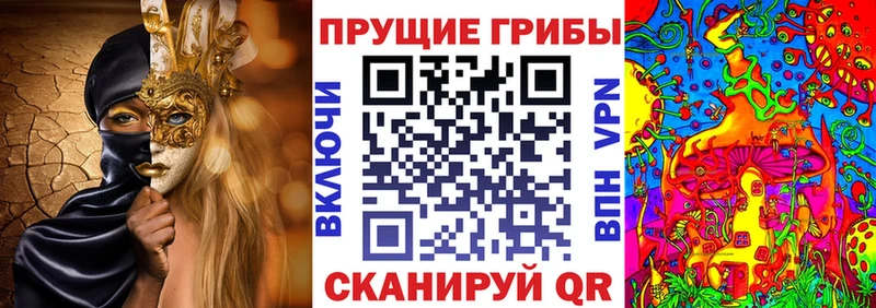 Галлюциногенные грибы Psilocybine cubensis  Нижние Серги 